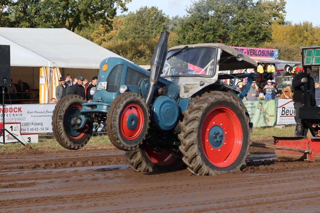 Blauer Oldtimer-Bulldog mit angehobenen Vorderrädern